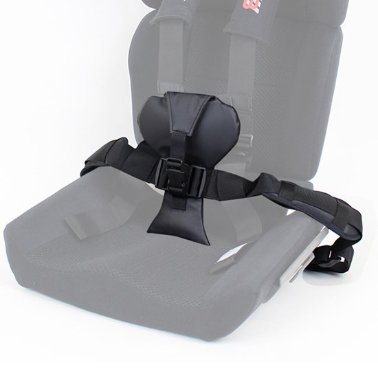 Carrot Booster Car Seat for Special Needs Children, Teens & Small Adults