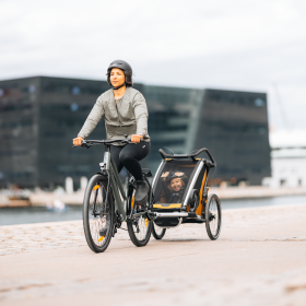 Thule Chariot Sport 2 Double