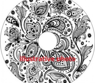 Protector de radios a petición iXROVER TRASERO