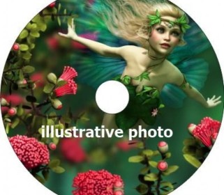 Protector de radios a petición iXROVER TRASERO