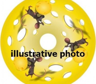 Protector de radios a petición iXROVER TRASERO